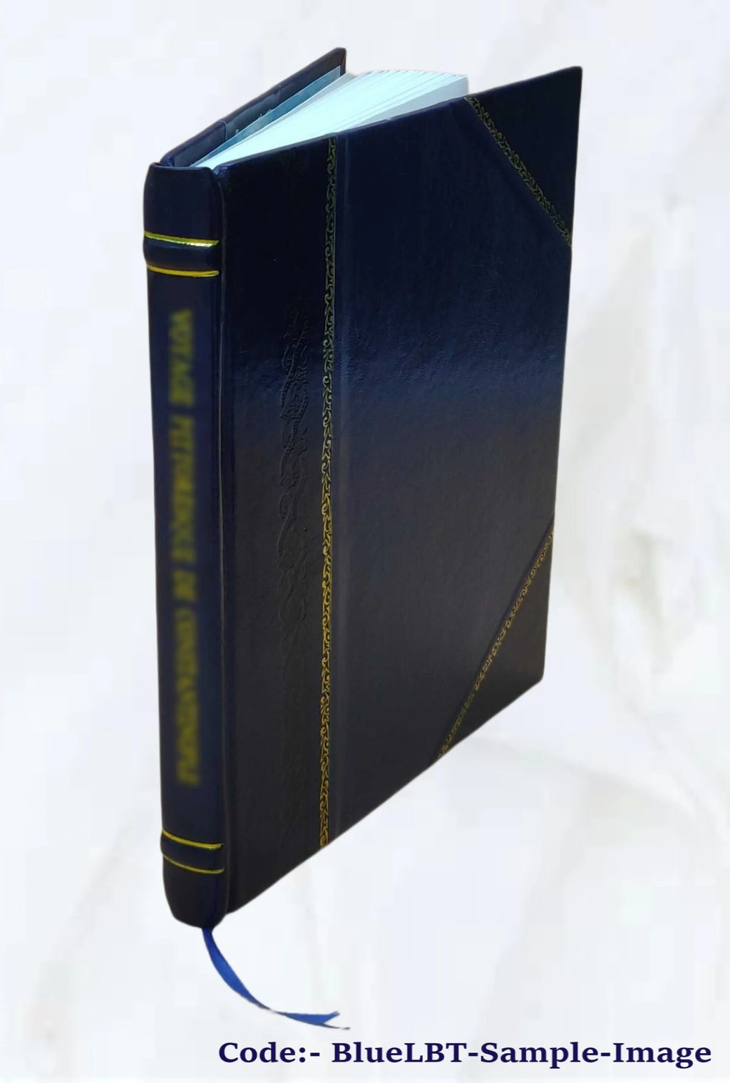 Leather Bound Book O423