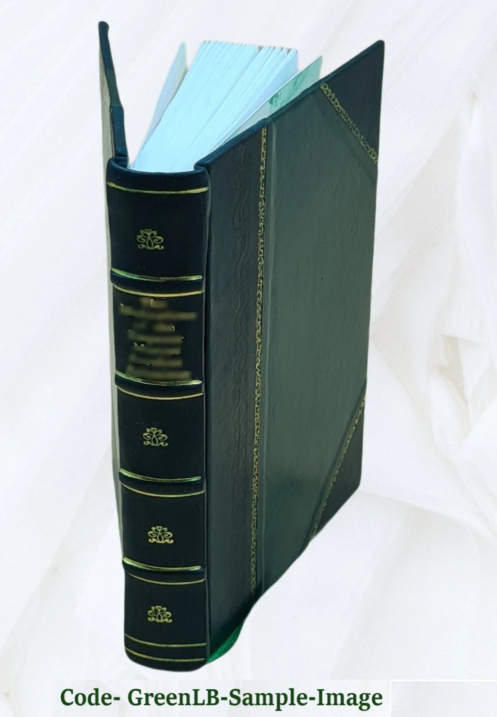 Leather Bound Book L862666