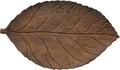 Hand-Carved Mango Wood Leaf Tray, Brown Pack of 2 F754860