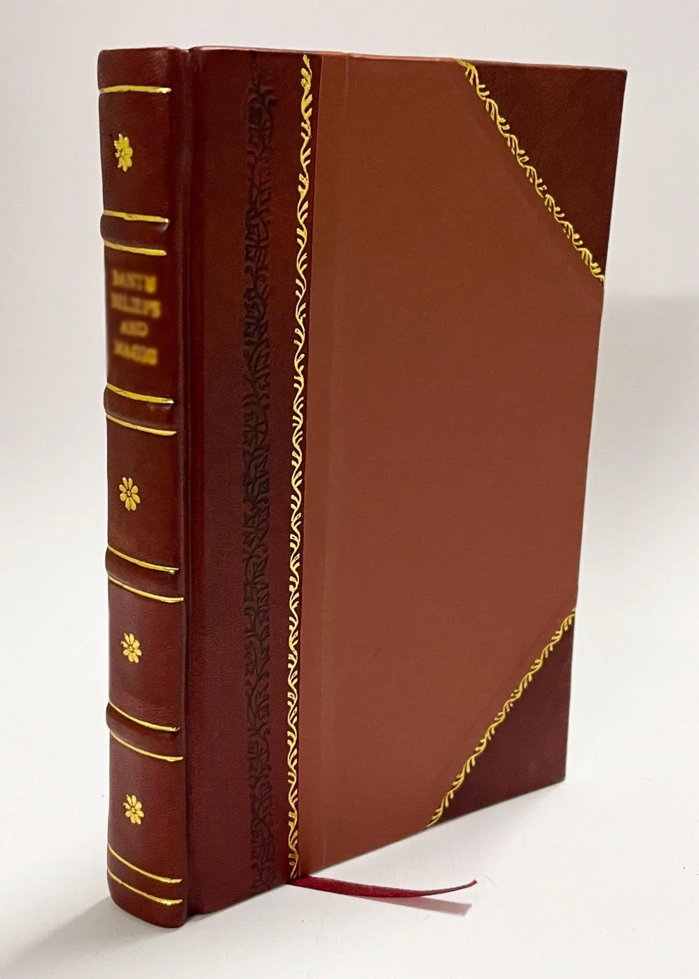 The Unknown Life of Jesus Christ P86539