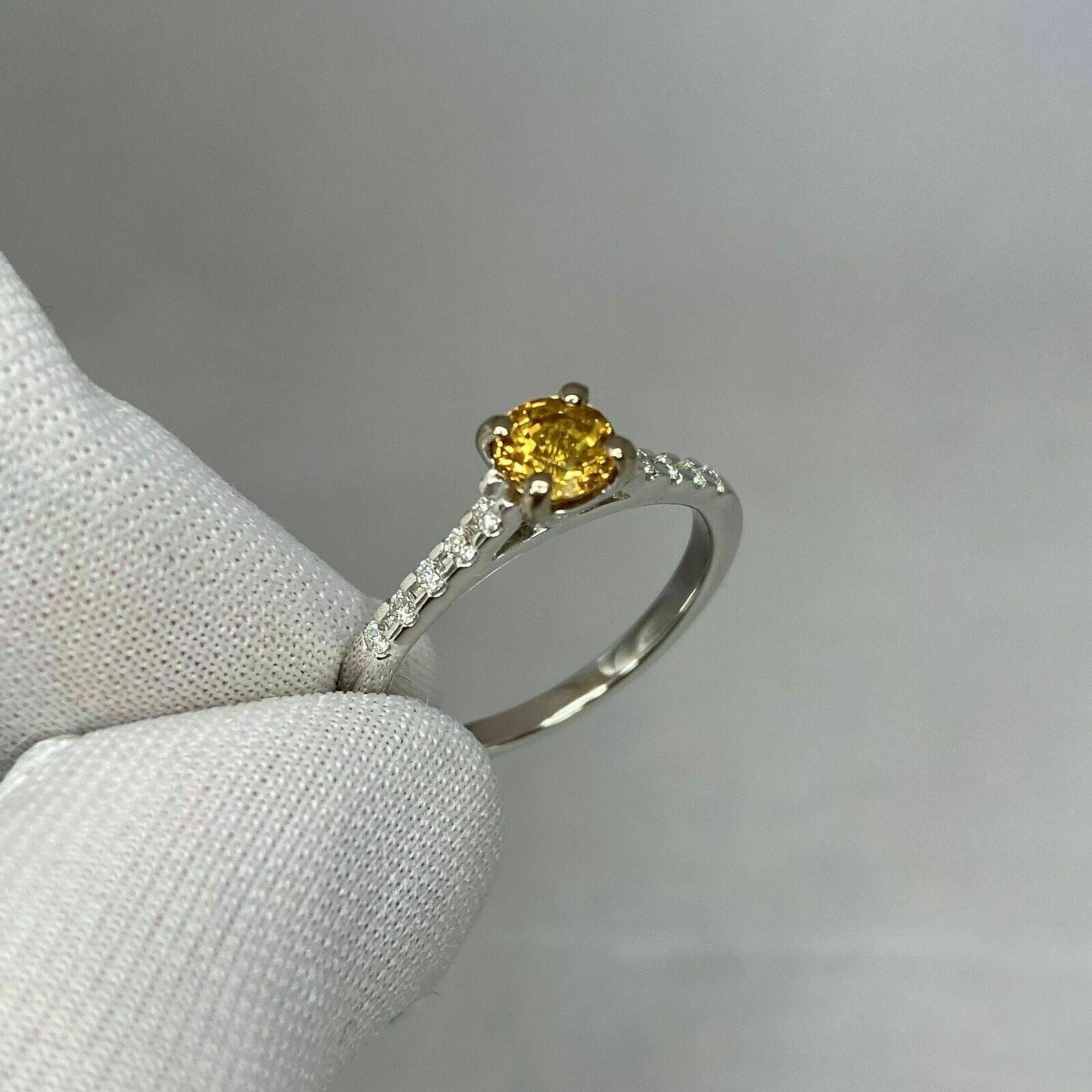 18k White Gold Plated Sapphire Diamond Ring R509081