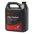 Compressor Oil 5L N18670