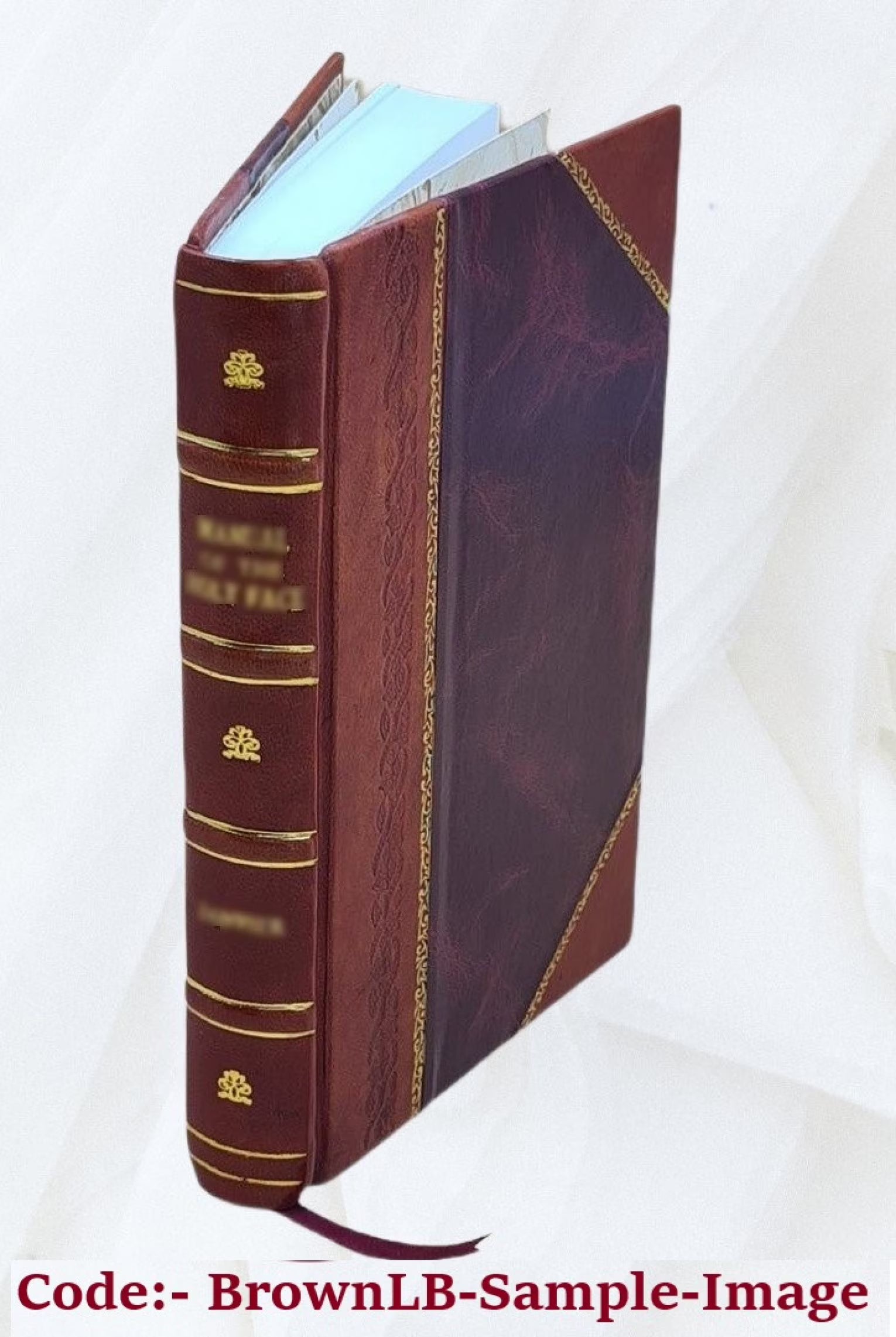 Leather Bound Book L862666