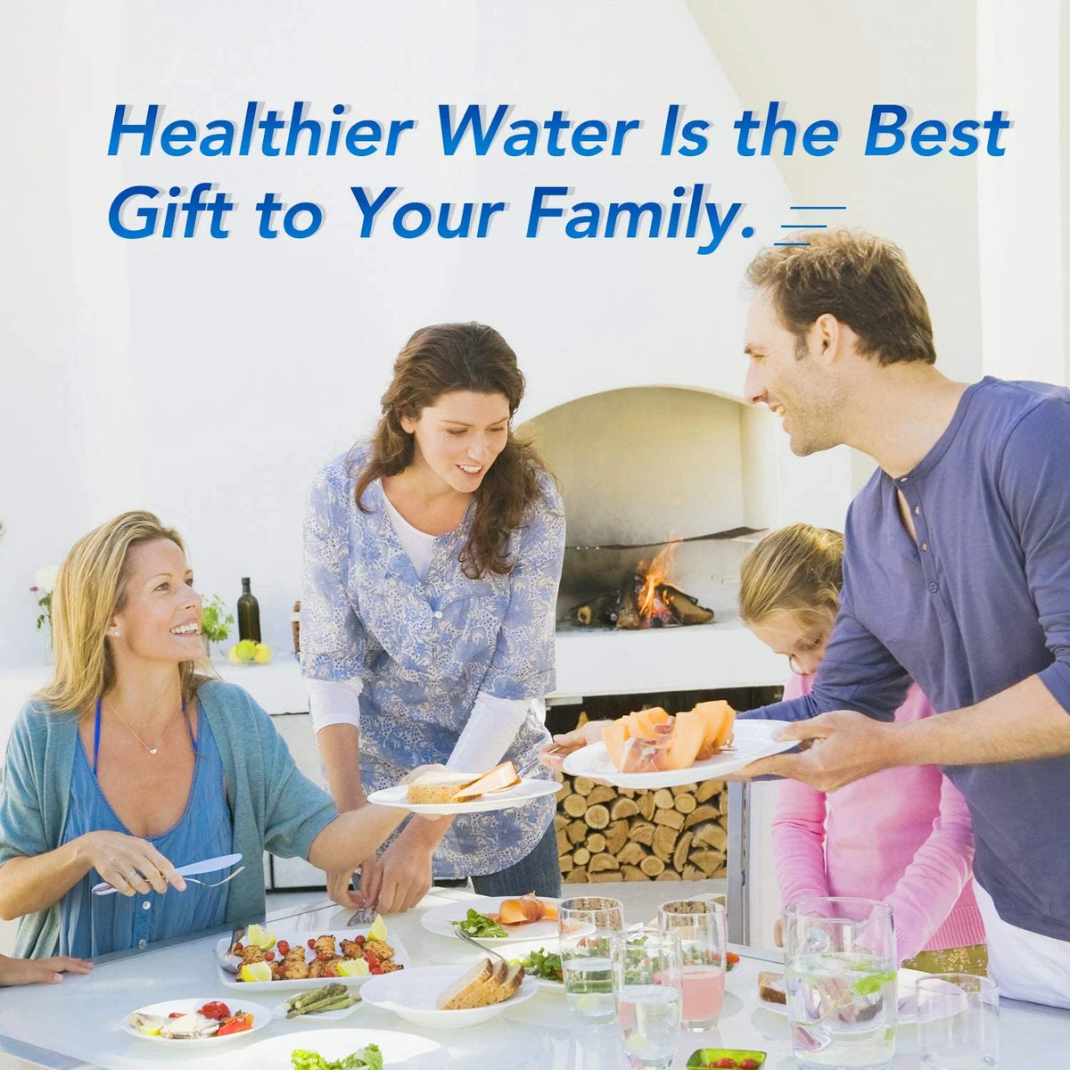 Refrigerator Water Filter 4 Pack V28762