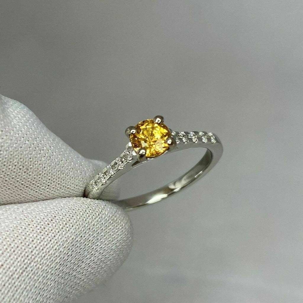 18k White Gold Plated Sapphire Diamond Ring R509081