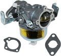 Carburetor Replacement for Onan Cummins RV Generator 4000 watt 6500 watt with Gaskets E841282