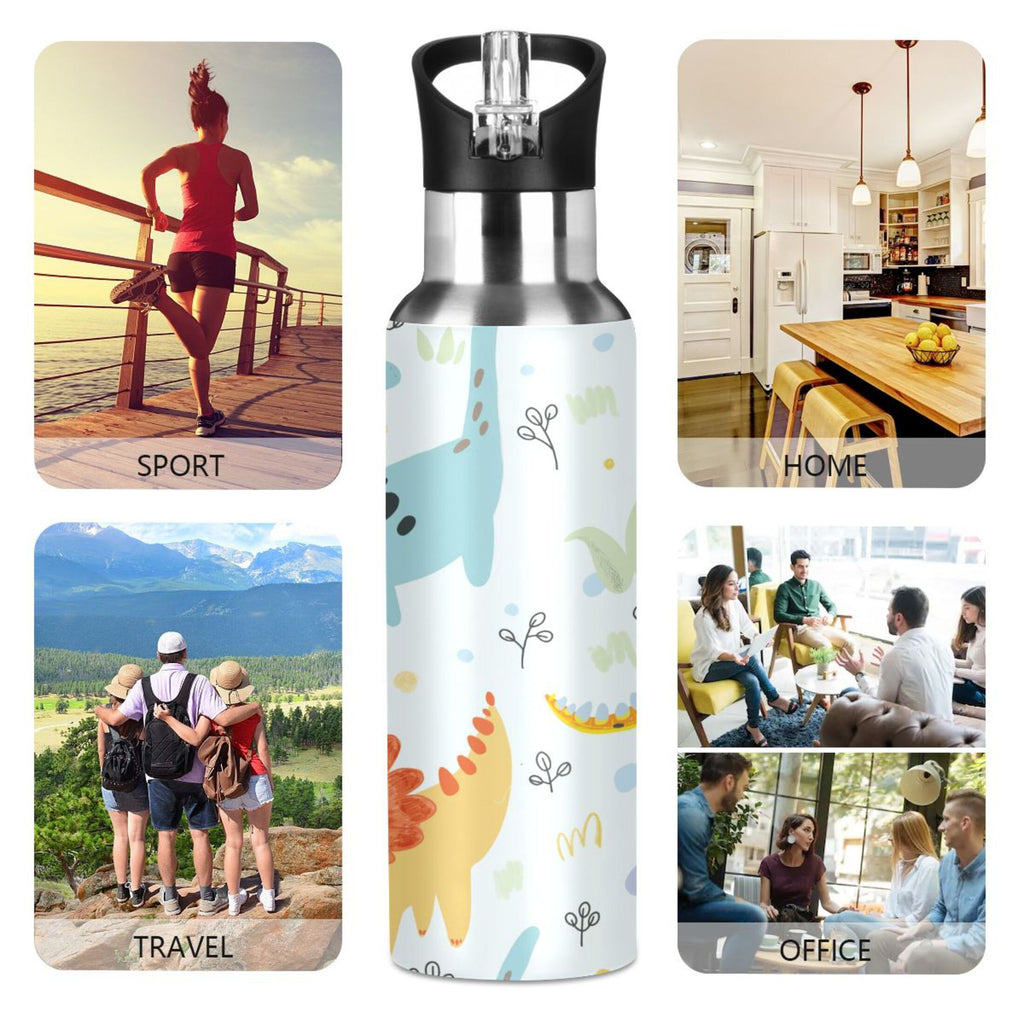 Stainless Steel Insulated Water Bottle with Straw Lid C8504