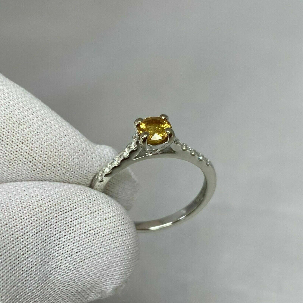 18k White Gold Plated Sapphire Diamond Ring R509081