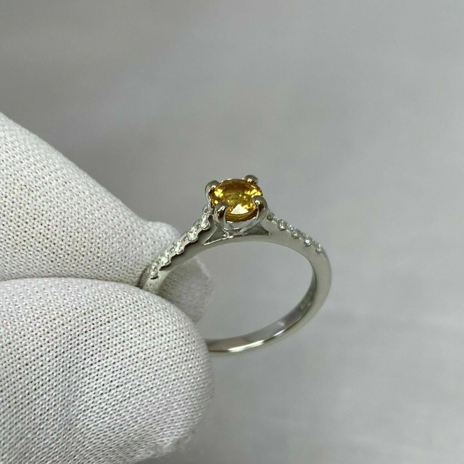 18k White Gold Plated Sapphire Diamond Ring R509081