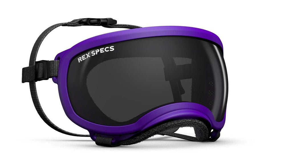 Small Goggle with 1 Clear & 1 Smoke G9921