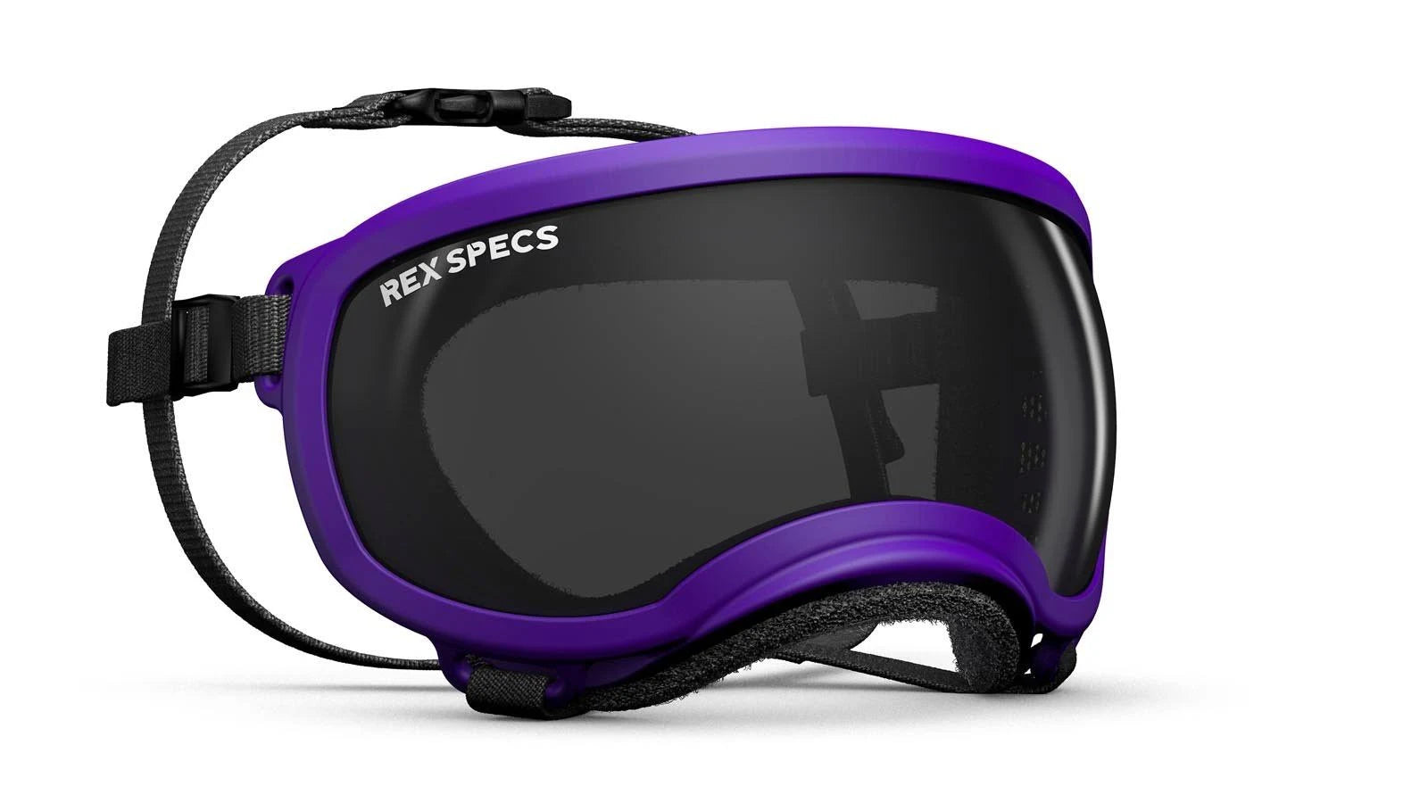 Small Goggle with 1 Clear & 1 Smoke G9921