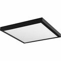 1 Light Square Flush Mount F93839