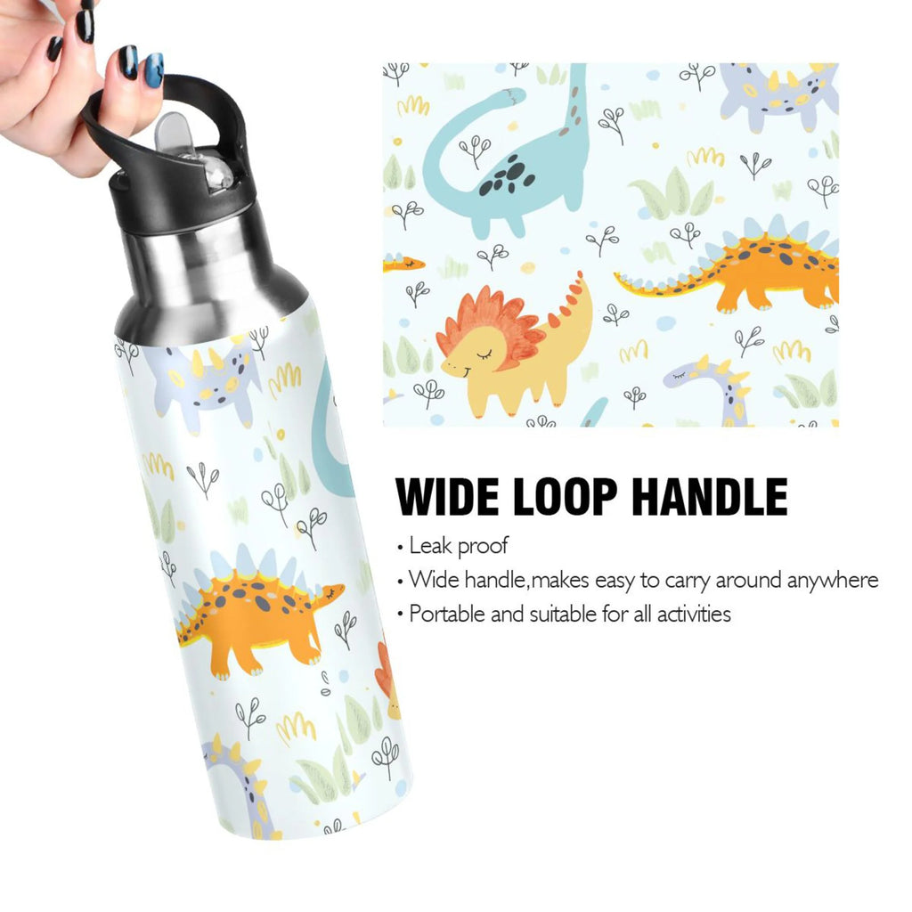Stainless Steel Insulated Water Bottle with Straw Lid C8504
