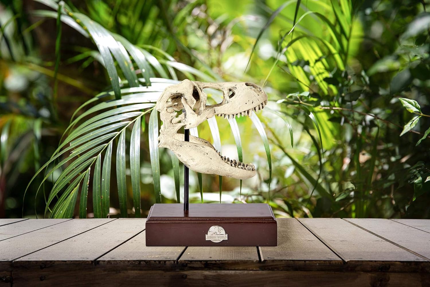 Tyrannosaurus Rex Skull Resin Replica Statue R912576