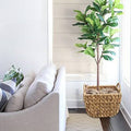 3 Piece Waterhyacinth Cachepot Set S367