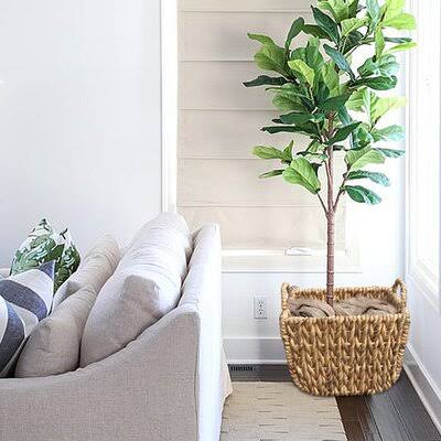 3 Piece Waterhyacinth Cachepot Set S367
