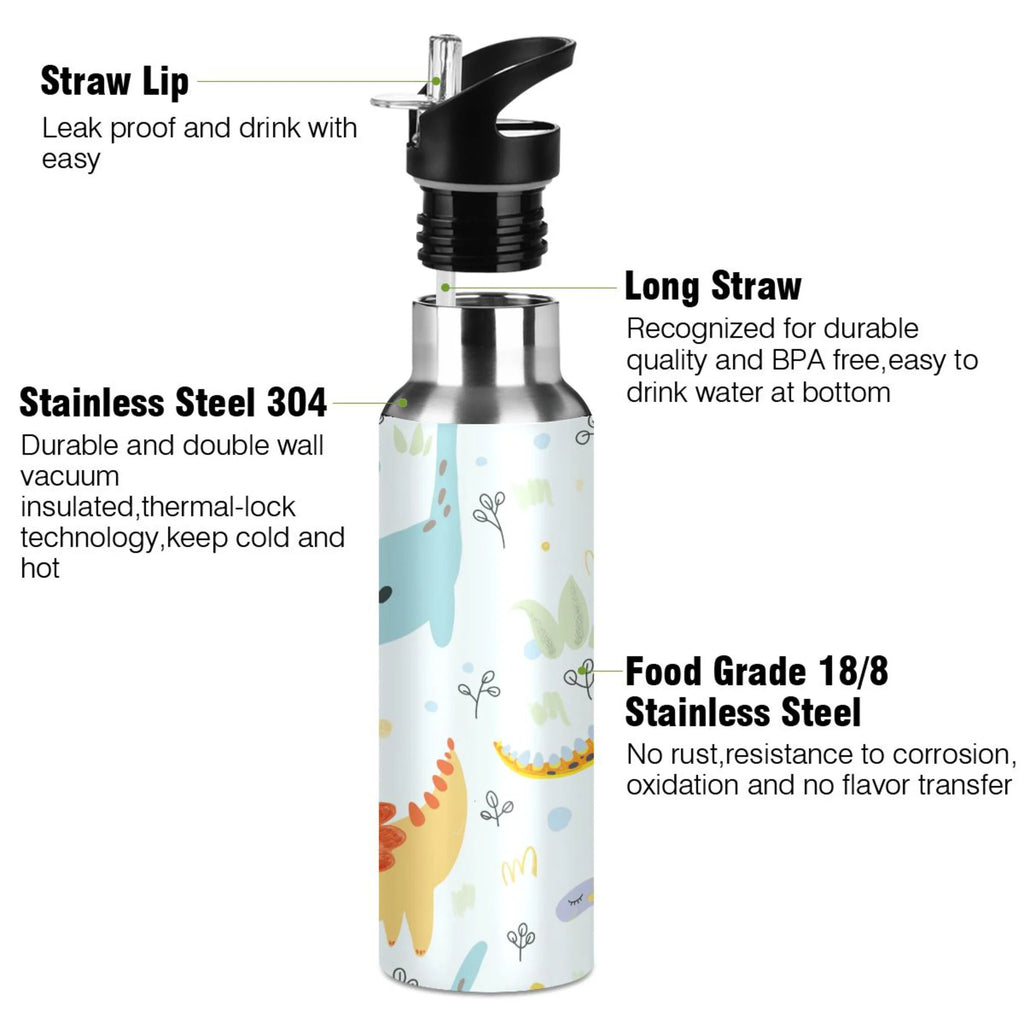 Stainless Steel Insulated Water Bottle with Straw Lid C8504