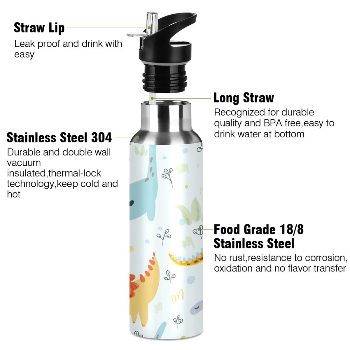 Stainless Steel Insulated Water Bottle with Straw Lid C8504