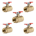 1 in. FIP x 1 in. FIP Brass Full Port Ball Valve with T-Handle (5-Pack) F542135