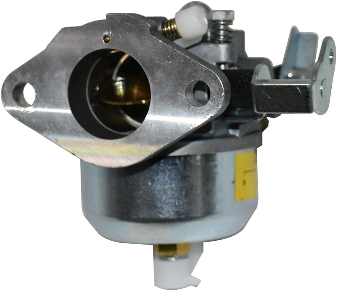 Carburetor Replacement for Onan Cummins RV Generator 4000 watt 6500 watt with Gaskets E841282