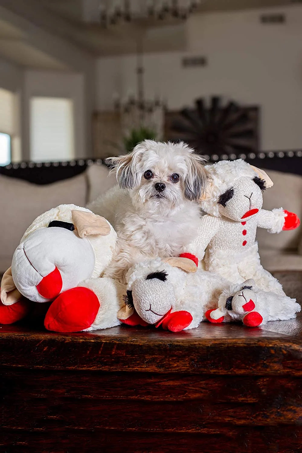 White Plush Dog Toy R55939