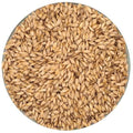 50 lb. Bulk Unmilled Malt U334507