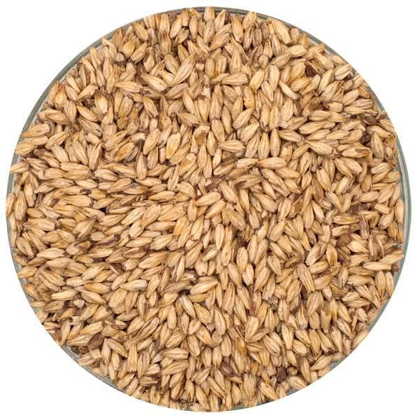 50 lb. Bulk Unmilled Malt U334507