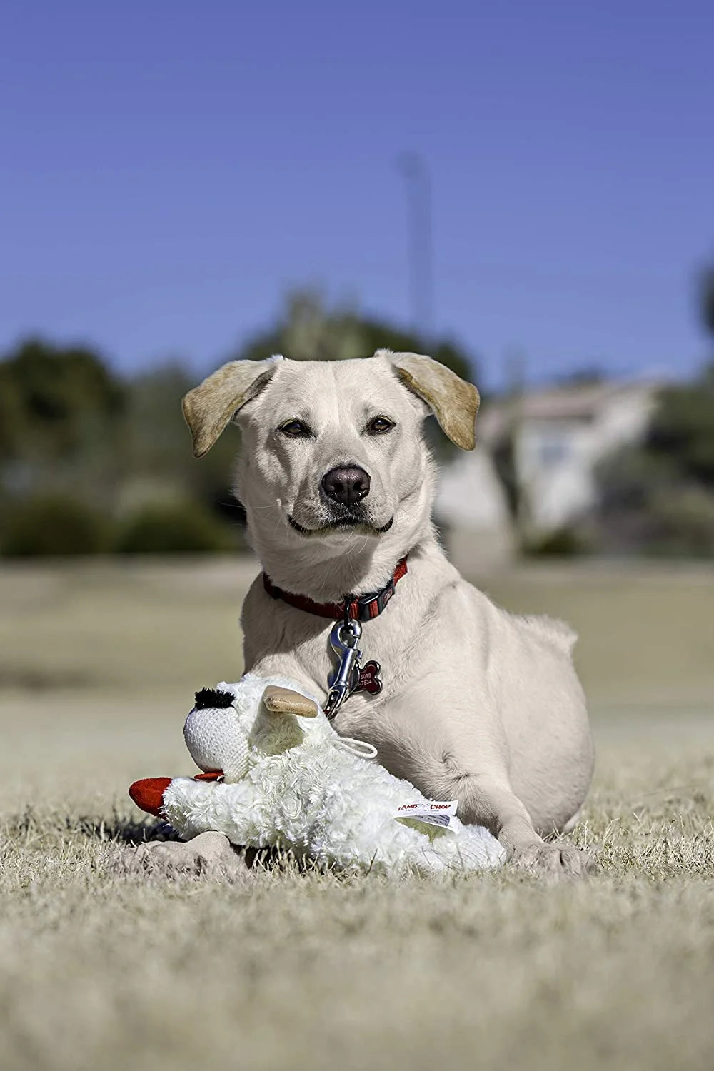 White Plush Dog Toy R55939