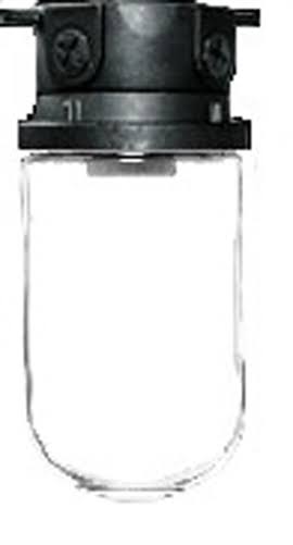 Vapor Proof 200 Box Black with Glass Globe J7337