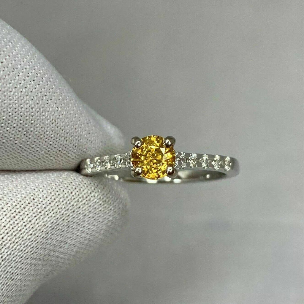18k White Gold Plated Sapphire Diamond Ring R509081