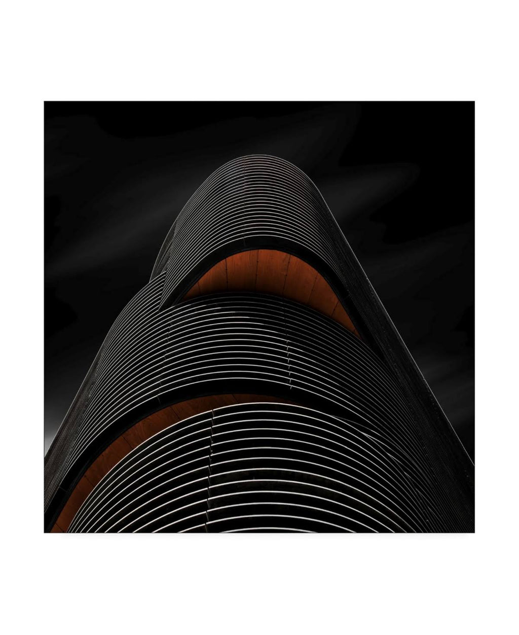 Canvas D285309