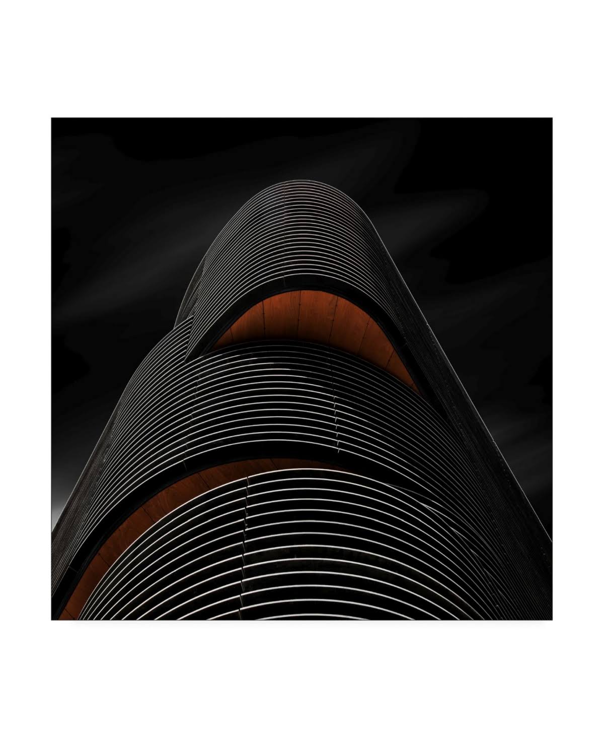 Canvas D285309