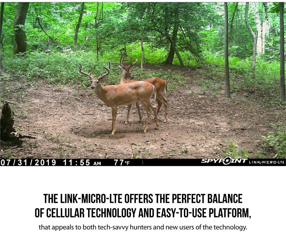 Cellular Trail Camera with Infrared Flash V858366
