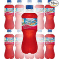 Fruit Juicy Red 20oz Bottle (Pack of 8) Y588981