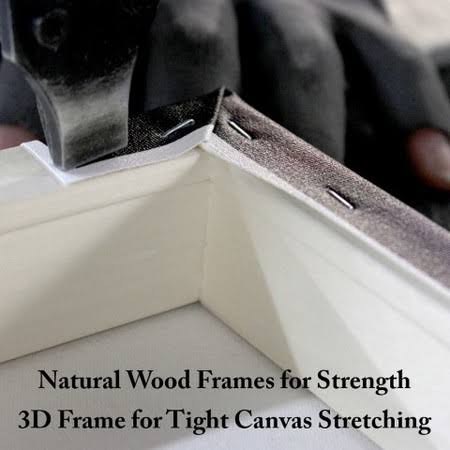 Canvas D285309
