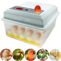 16 Eggs Digital Egg Incubator with Automatic Turner E757868