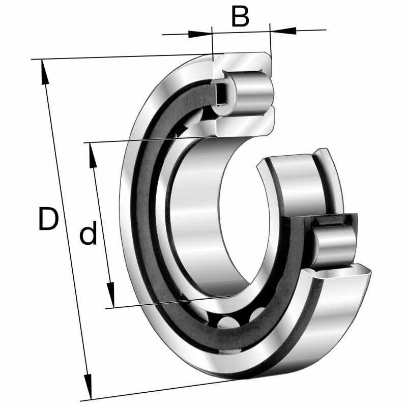 Cylindrical Roller Bearings W84730