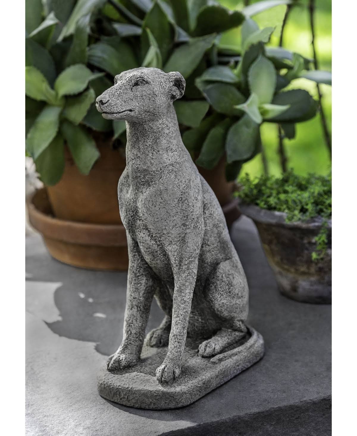 12x22 Greyhound Campania International Color: Travertine V462087