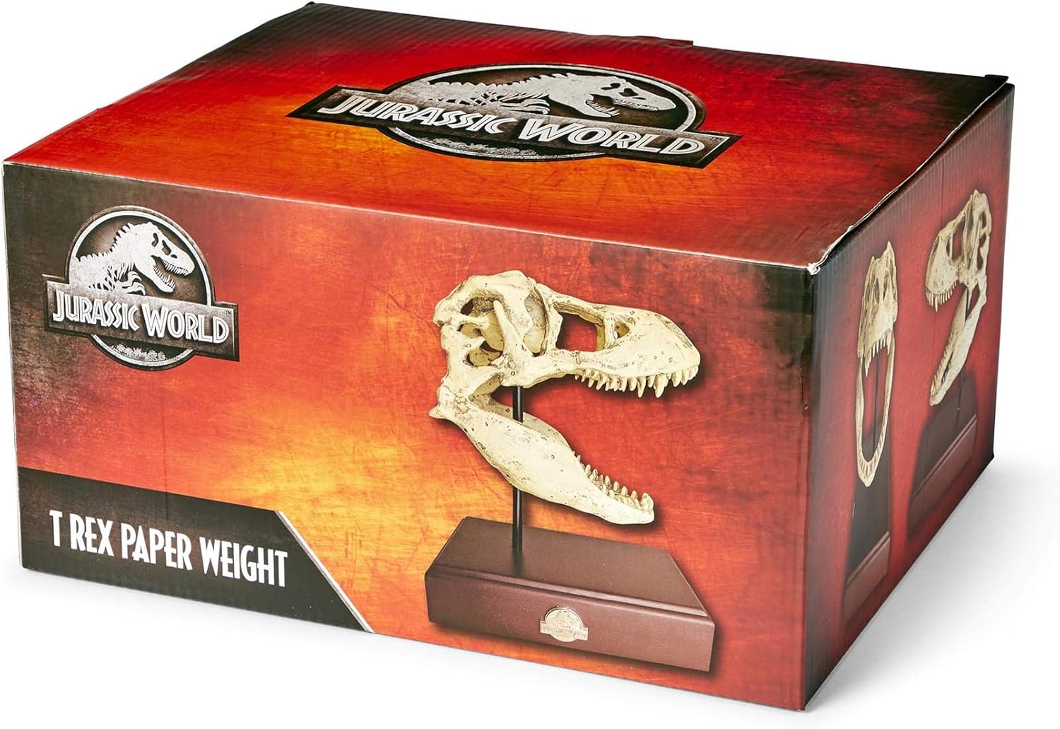 Tyrannosaurus Rex Skull Resin Replica Statue R912576